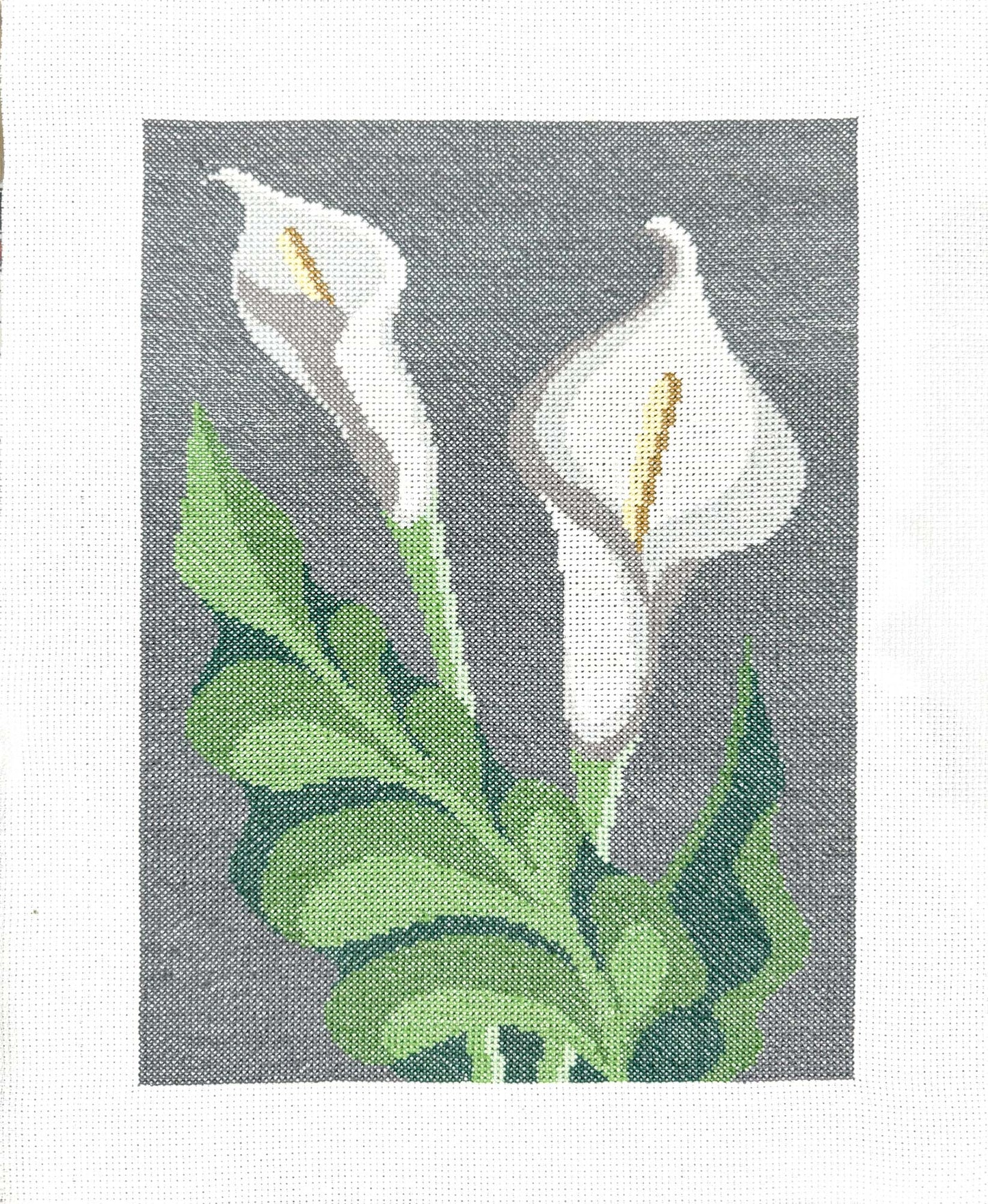 Flores copo-de-leite