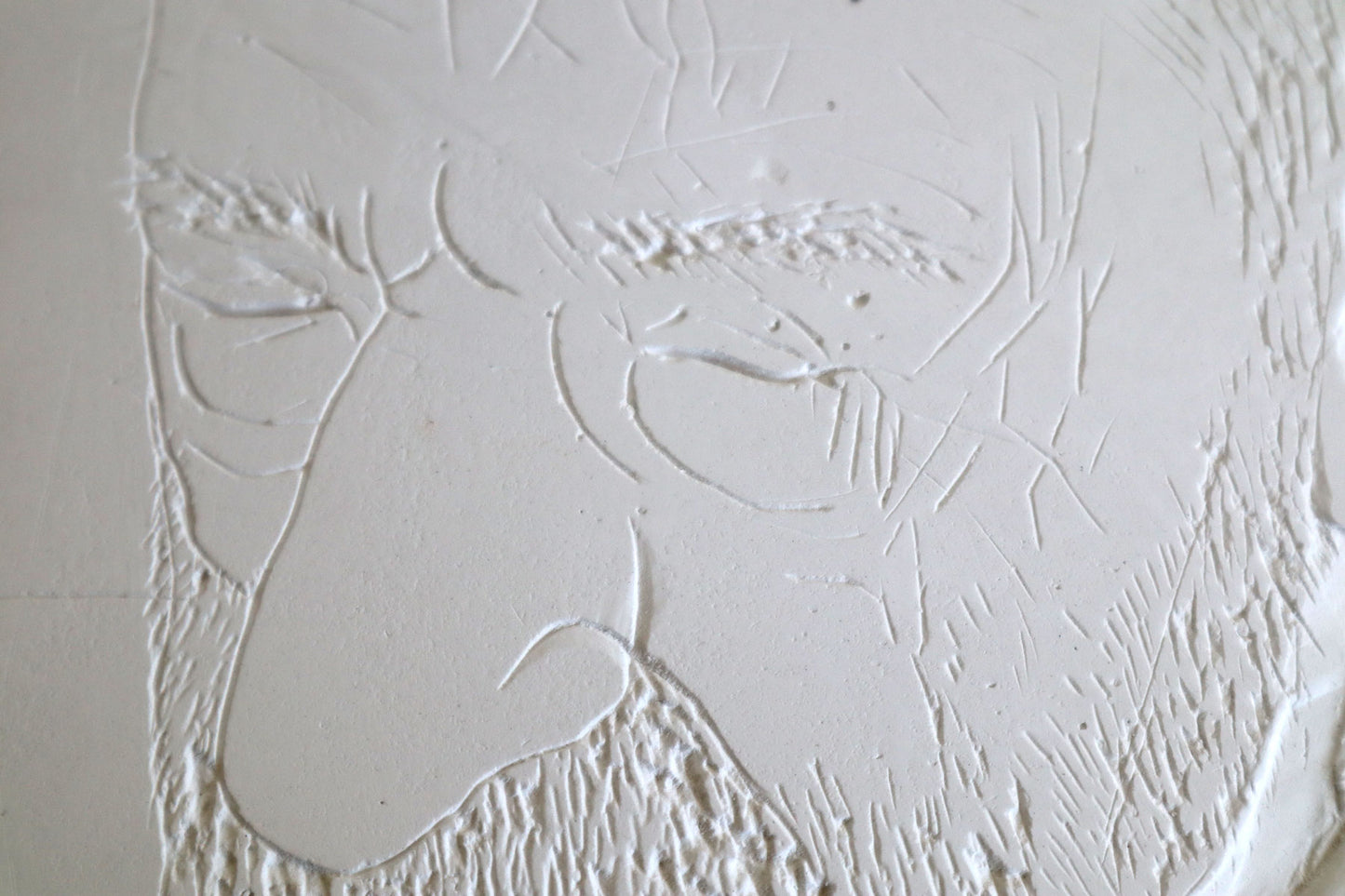 Rosto em Gesso #1