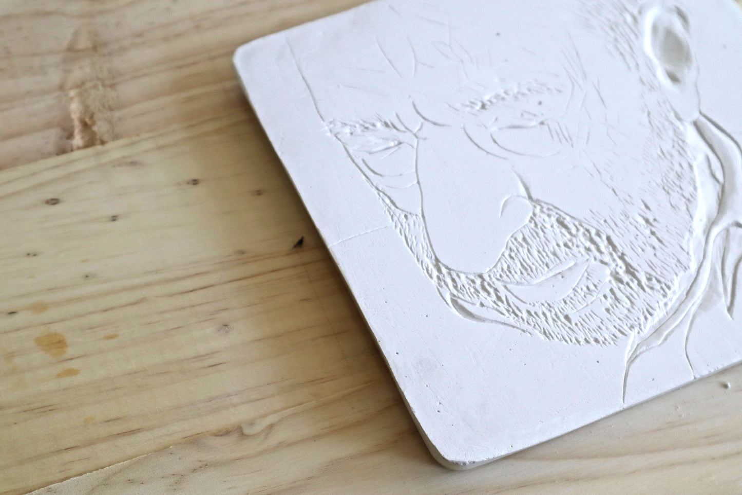 Rosto em Gesso #1