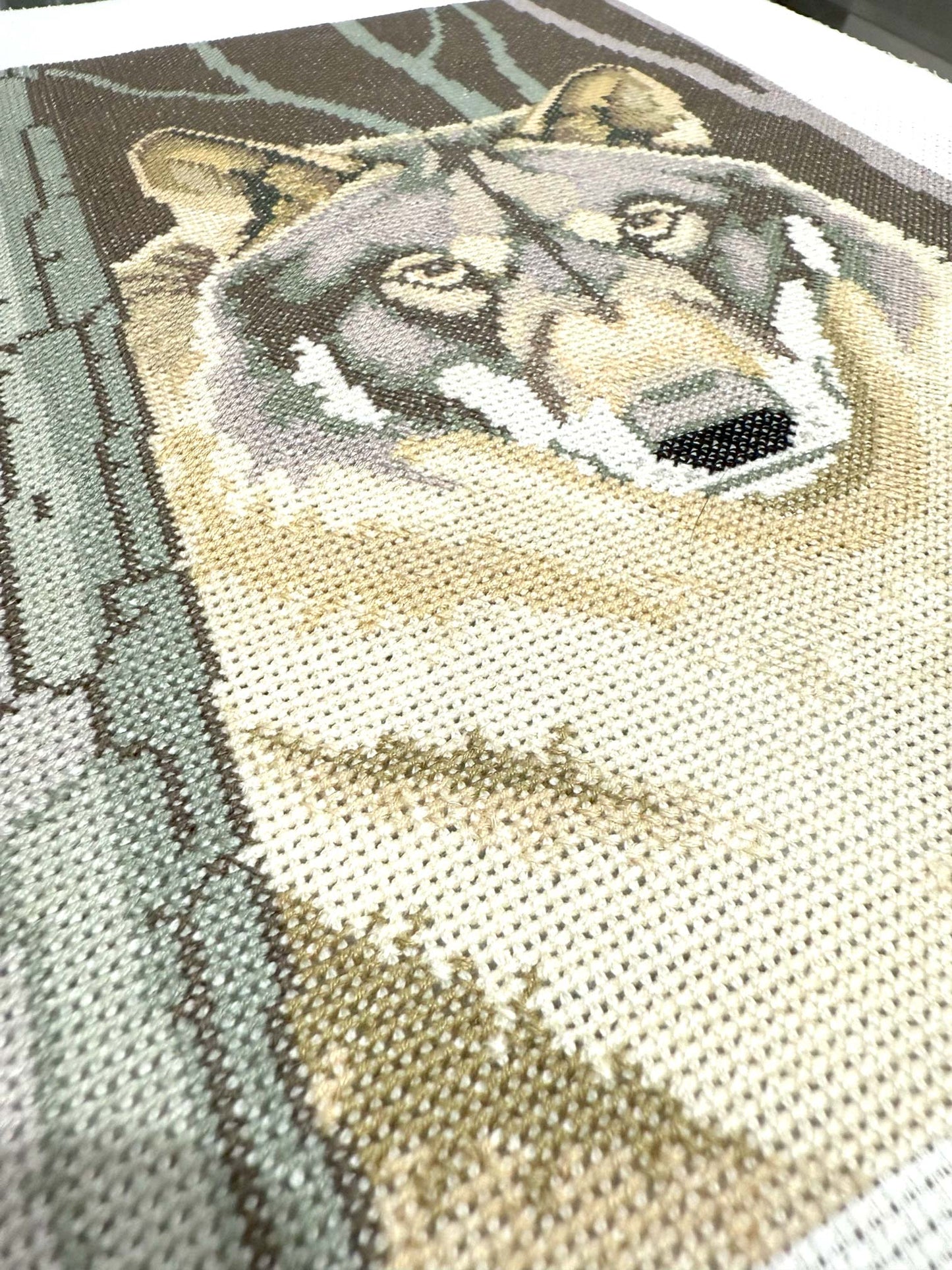 Lobo