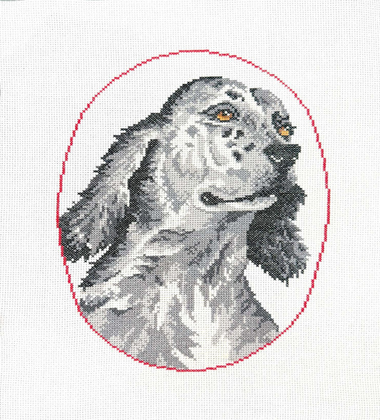 Cocker Spaniel 2