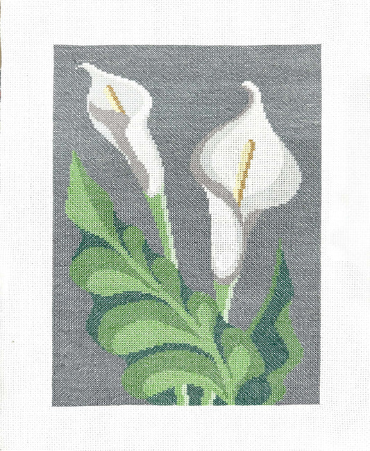Flores copo-de-leite