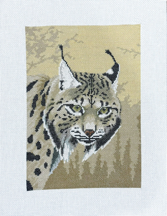 Lince