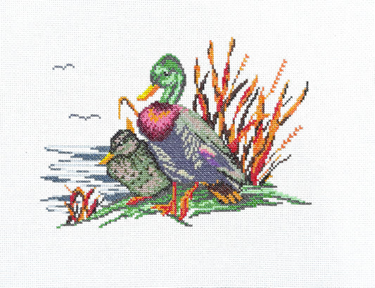 Patos