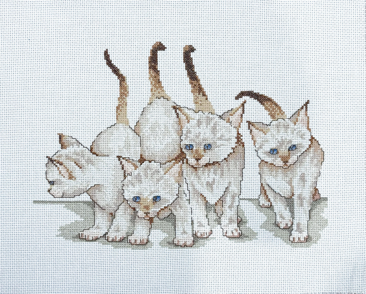 Gatinhos