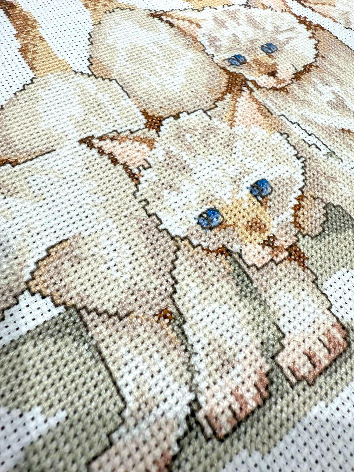 Gatinhos