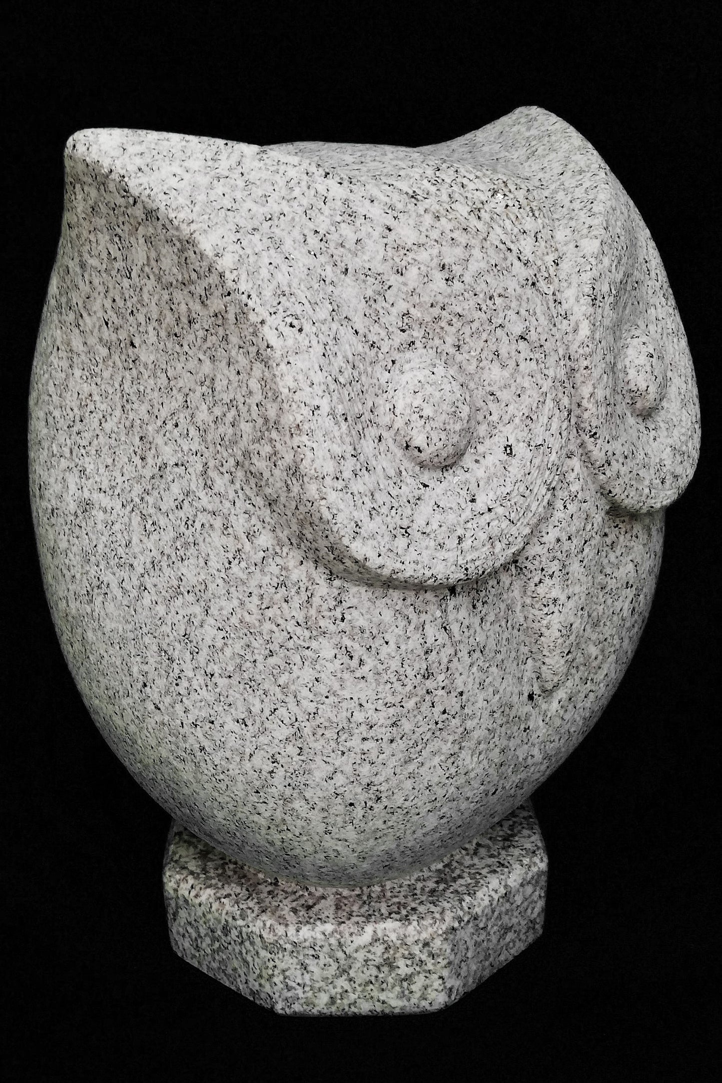 Mocho IV